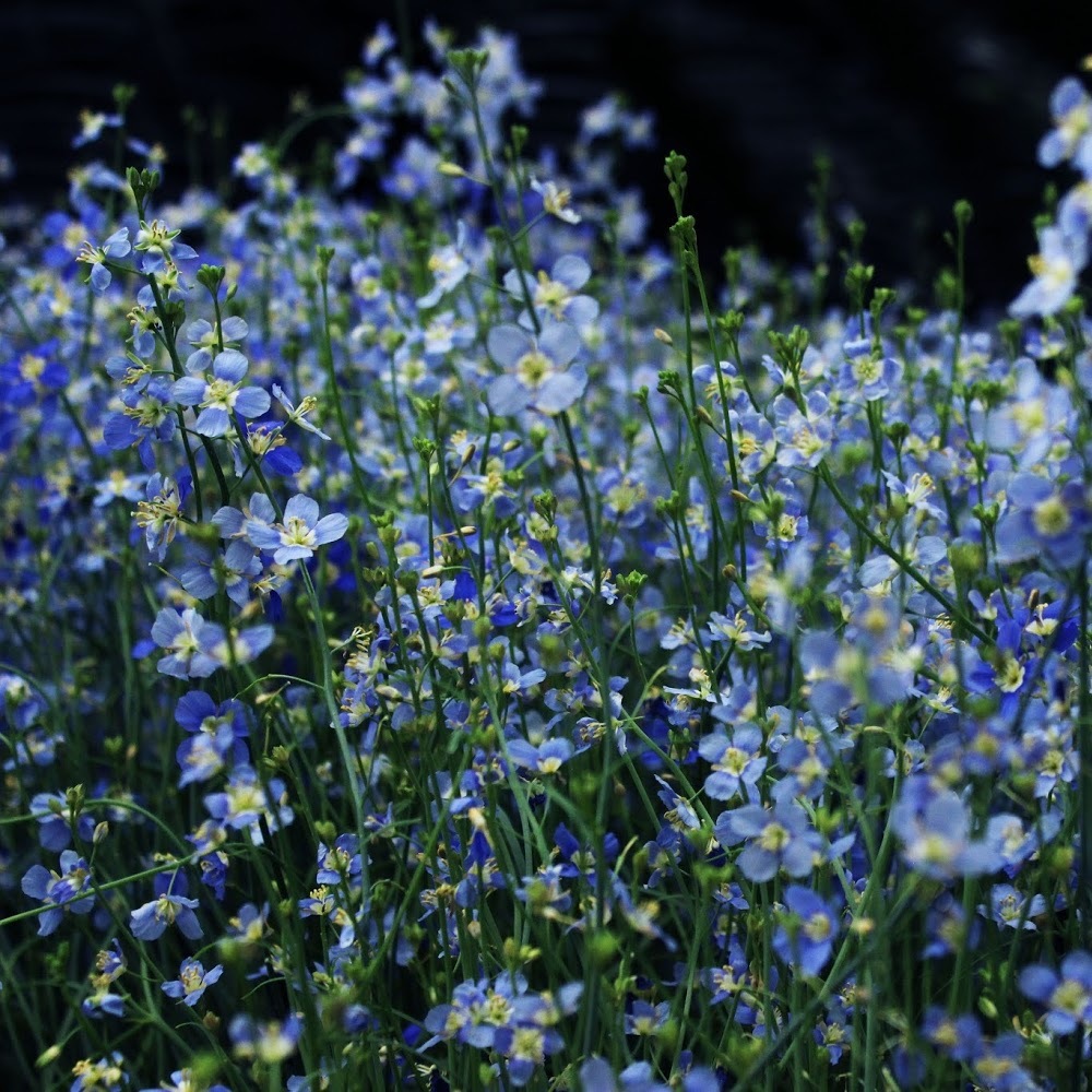 Meet your Posher, Escape with me